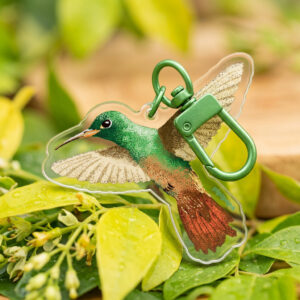 Llavero Colibrí