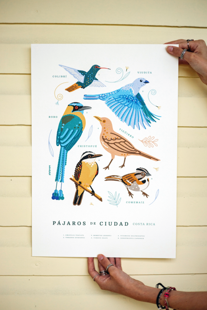 Pájaros de ciudad CR